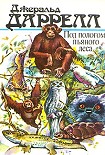 Читать книгу Под пологом пьяного леса